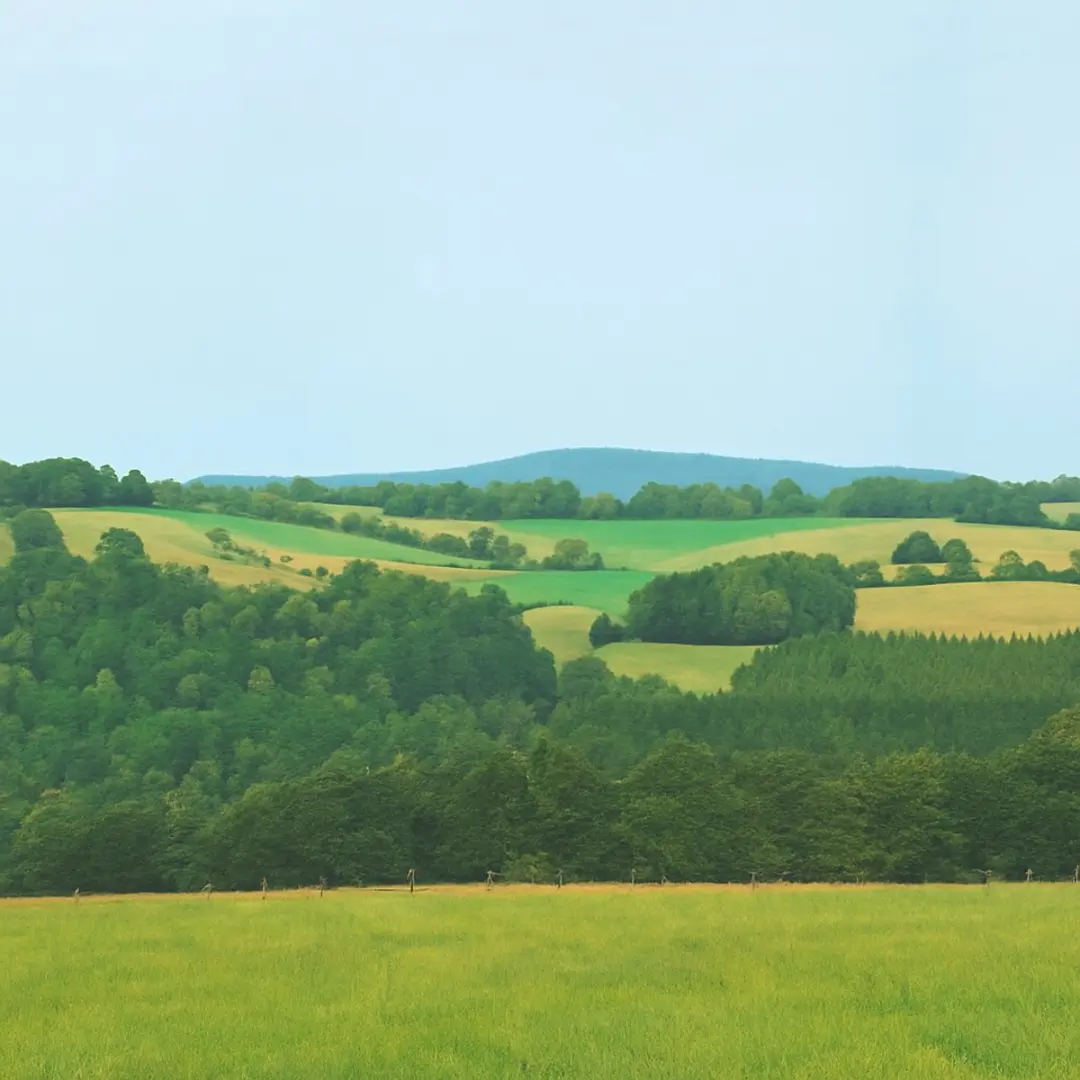 Achtergrond / Hintergrund Wolkenstein/Erzgebirge 8 delig