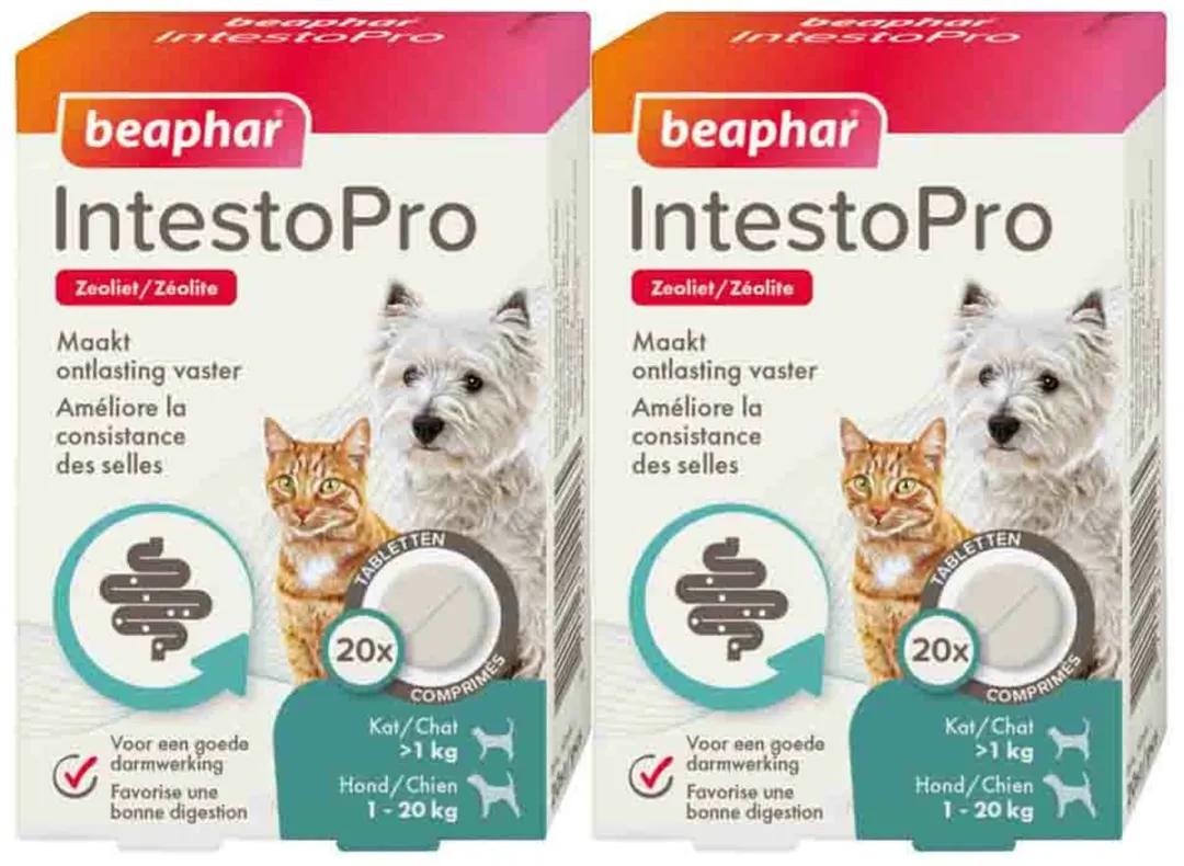 Beaphar IntestoPro Kat