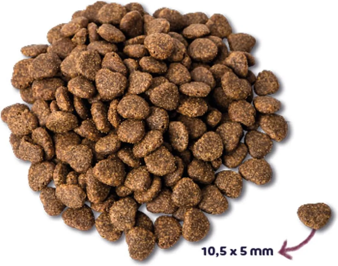 Renske Kat Adult Verse Eend 1.5kg - 5 Stuks