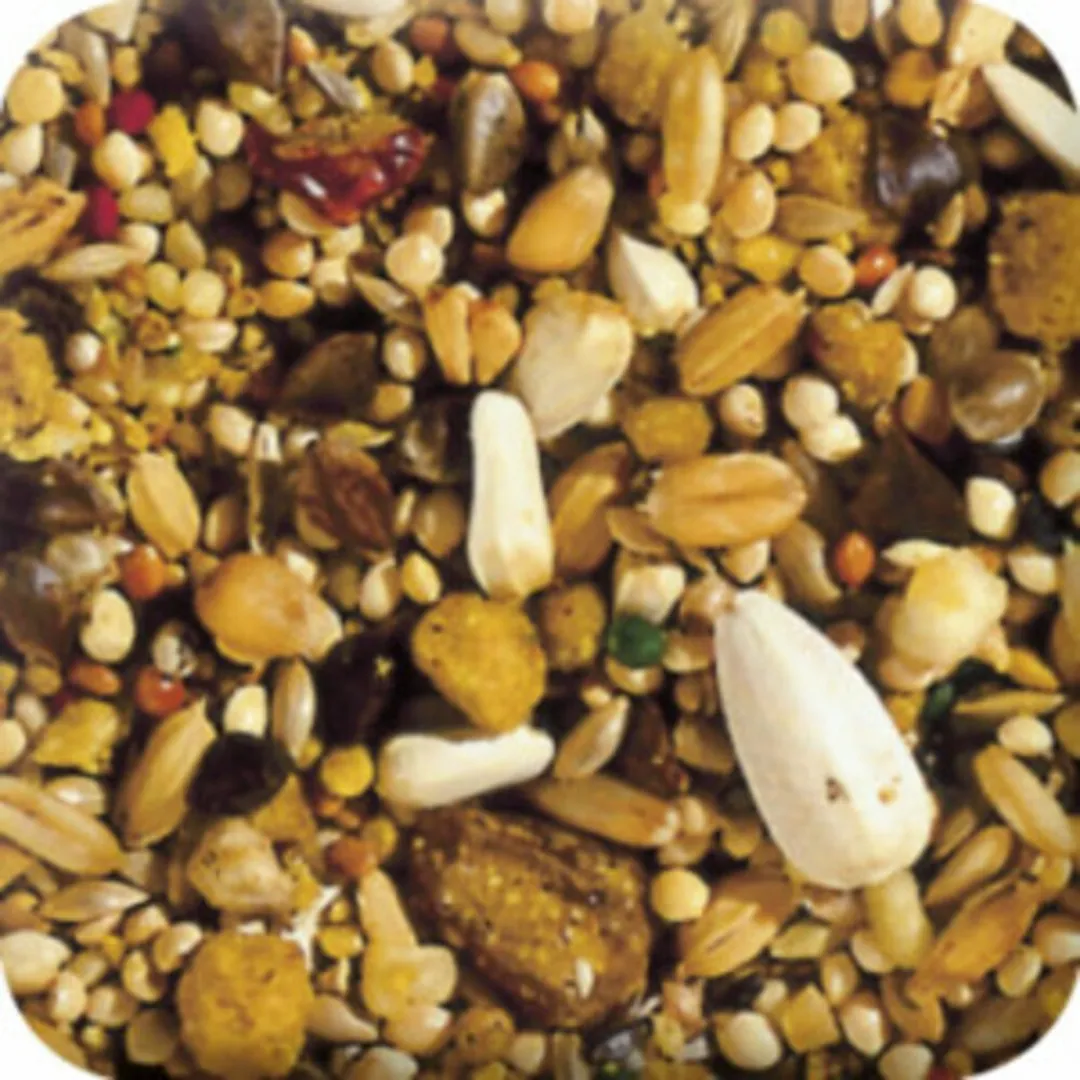 Beaphar XtraVital Grote Parkiet - 5 x 1 kg - Voordeelverpakking