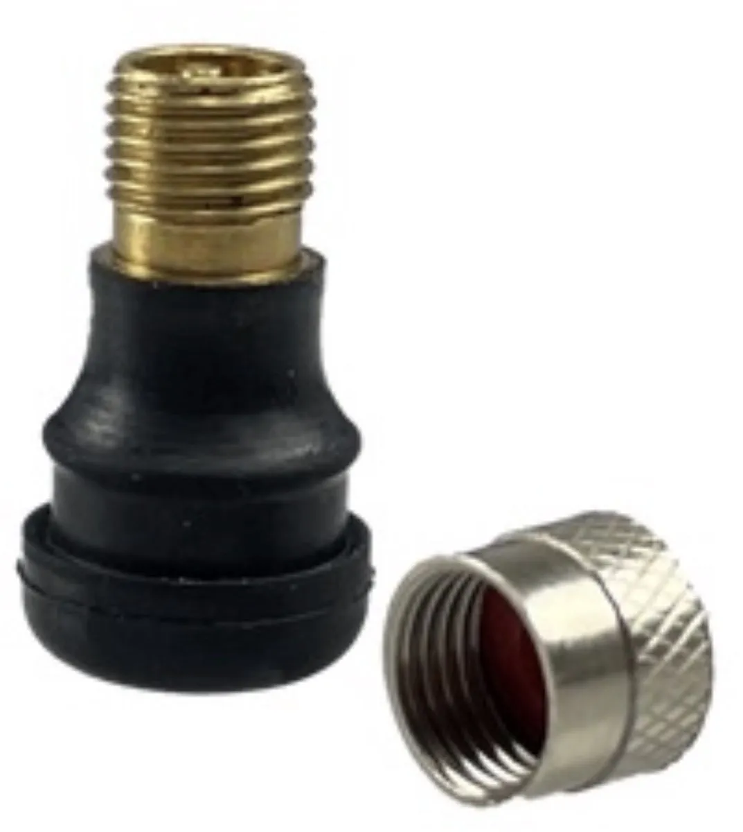 Segway-Ninebot Kickscooter Max G30 Tubeless Ventiel