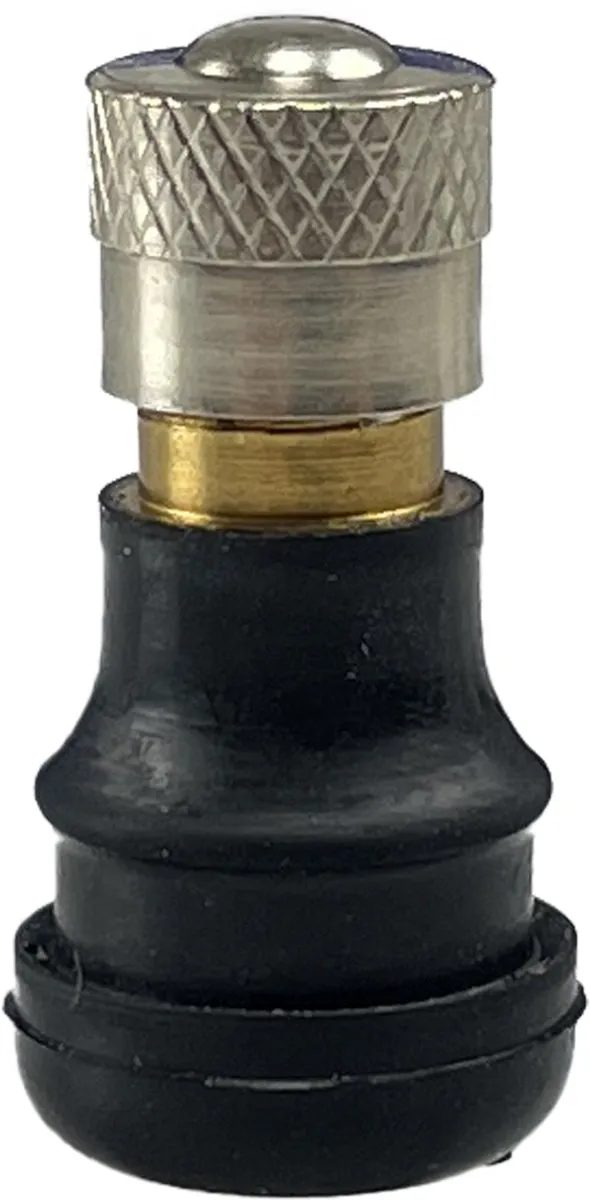 Segway-Ninebot Kickscooter Max G30 Tubeless Ventiel