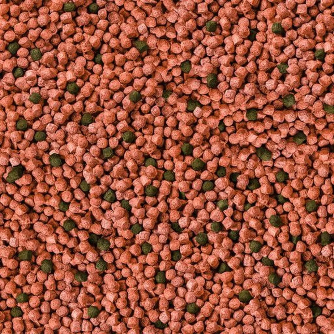 Sera Koi Junior All Seasons Probiotic 5 kg