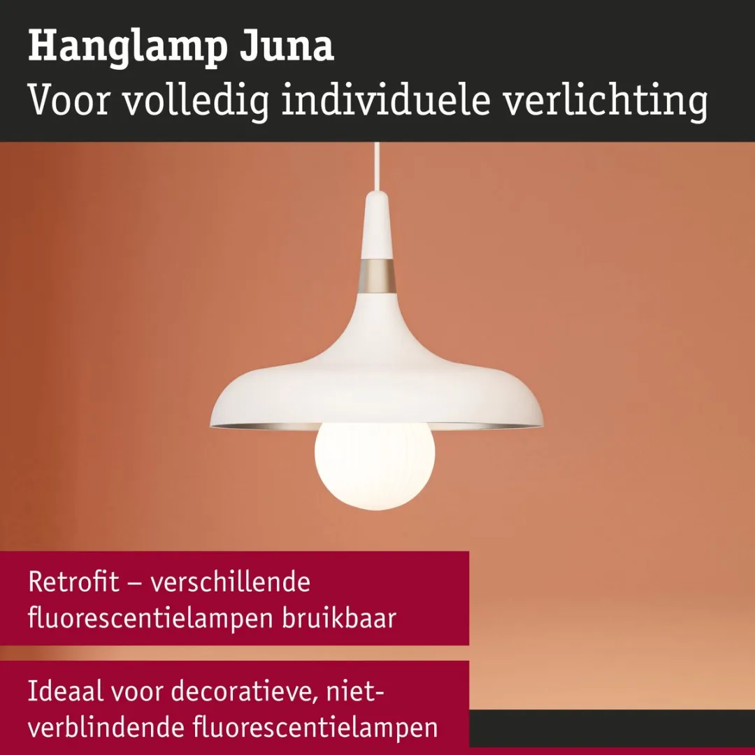Paulmann Juna Hanglamp E27 20W - Champagne/Wit mat