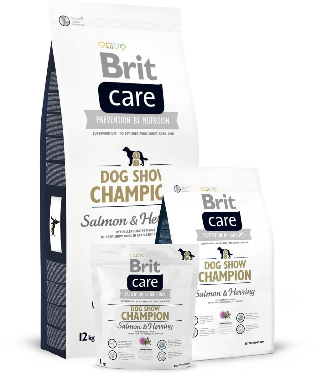 Brit Care Dog Show Champion 3