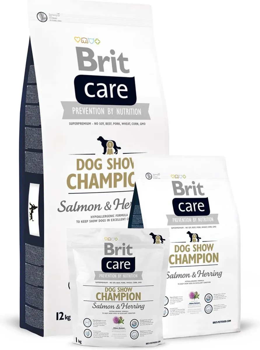 Brit Care Dog Show Champion 3