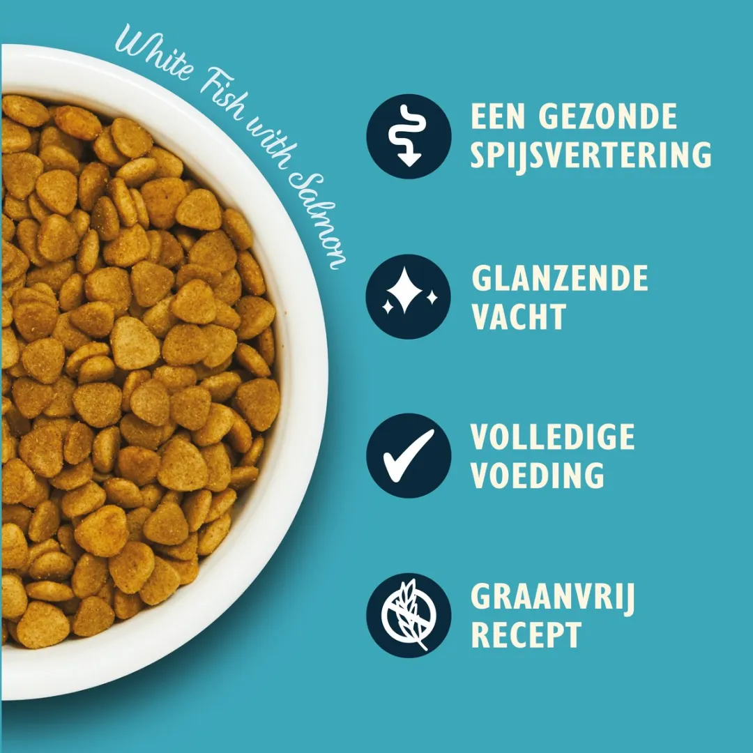 Lily's Kitchen Kattenvoer Droogvoer Witvis met Zalm - 8 kg