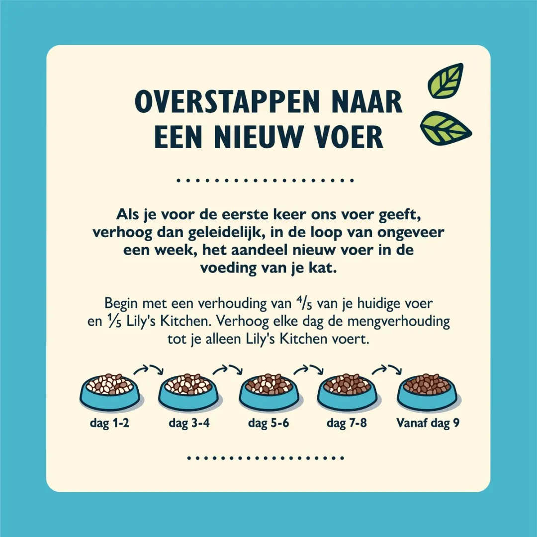 Lily's Kitchen Kattenvoer Droogvoer Witvis met Zalm - 8 kg - afbeelding 6 van 6