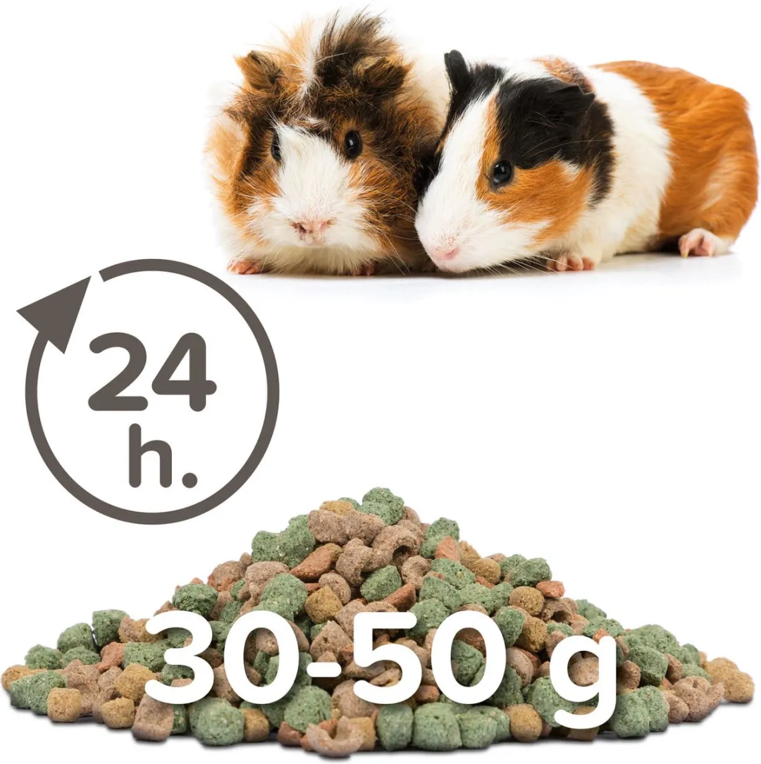 Beaphar Care Plus Caviavoer 10kg