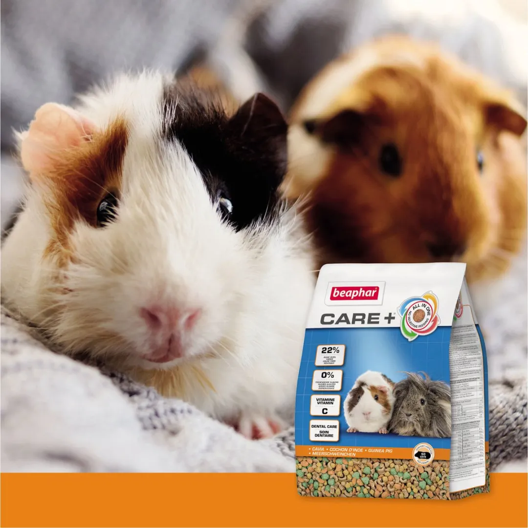 Beaphar Care Plus Caviavoer 10kg