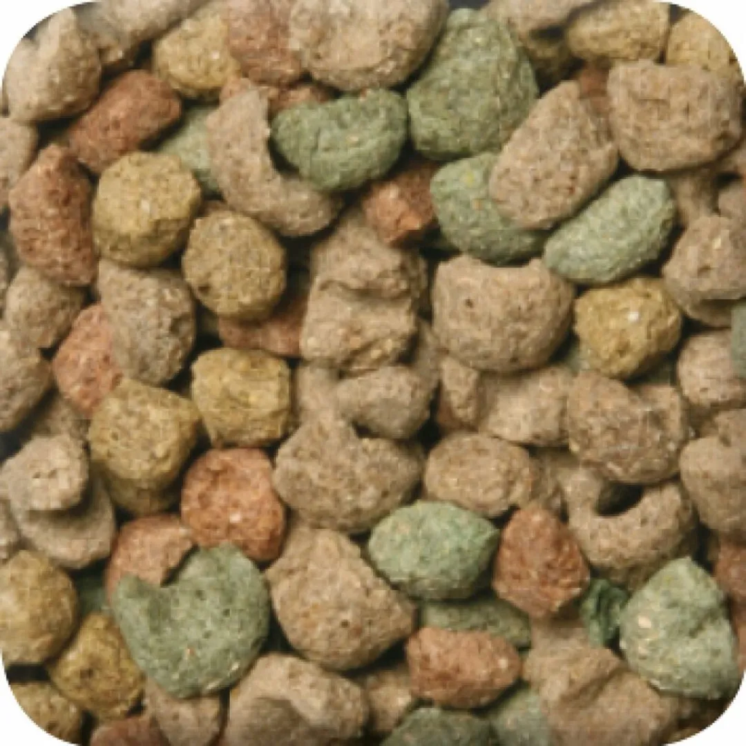 Beaphar Care Plus Caviavoer 10kg