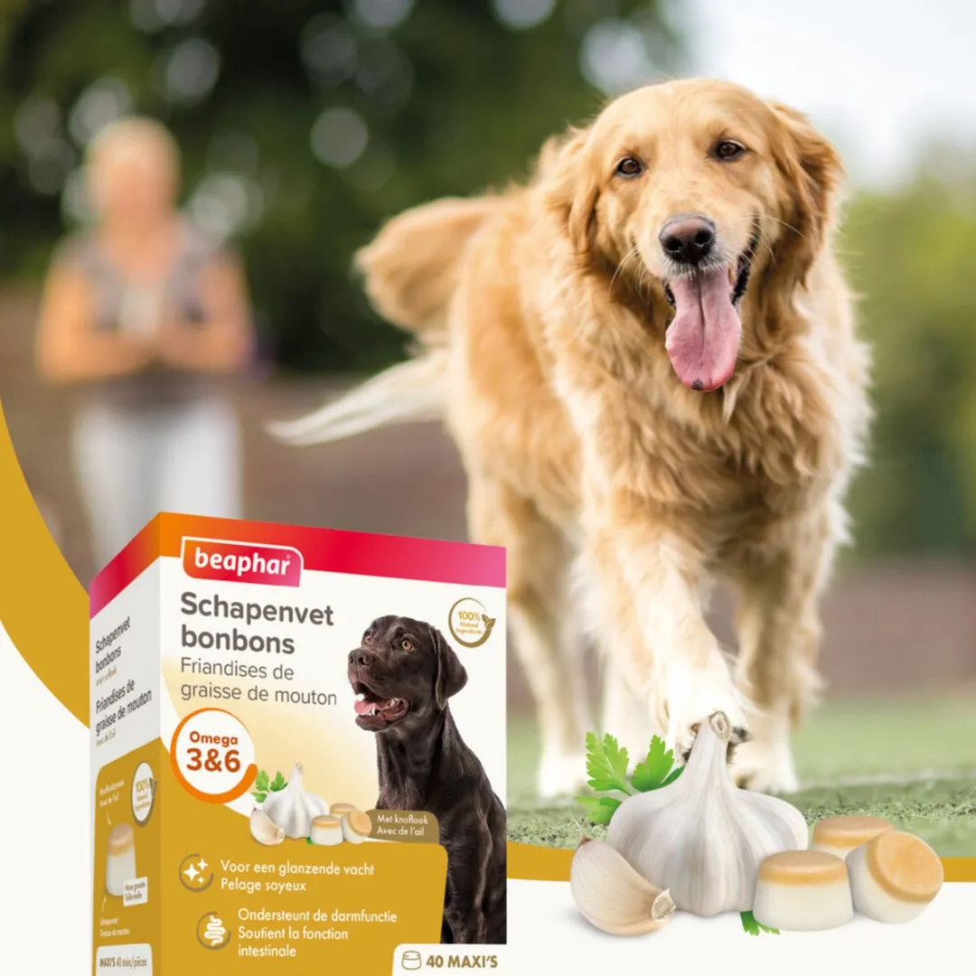 Beaphar Schapenvet Bonbons Knoflook 245g