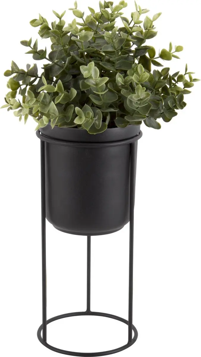 Pt, (Present Time) Tub