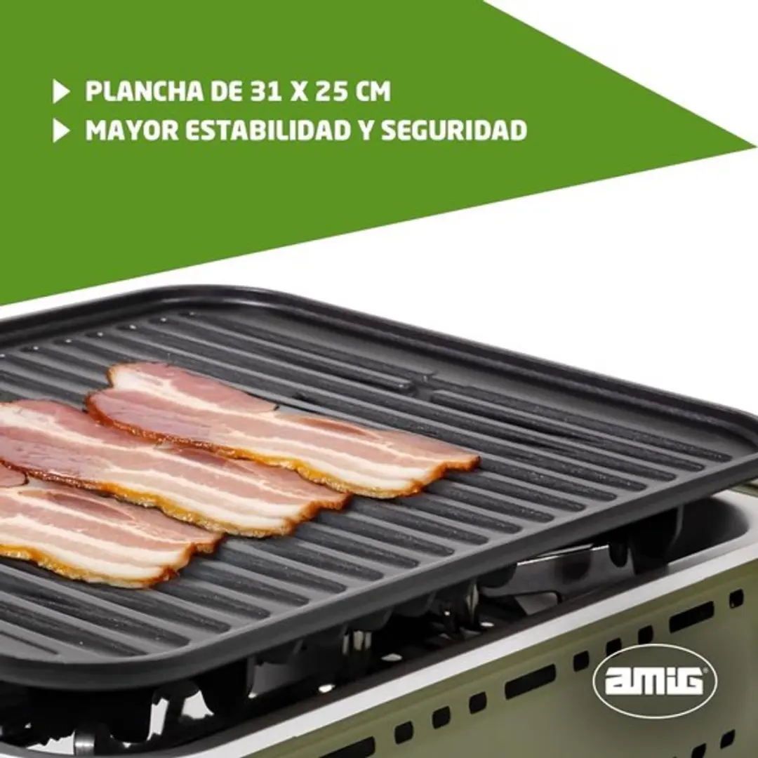 Draagbare Grill-Barbecue