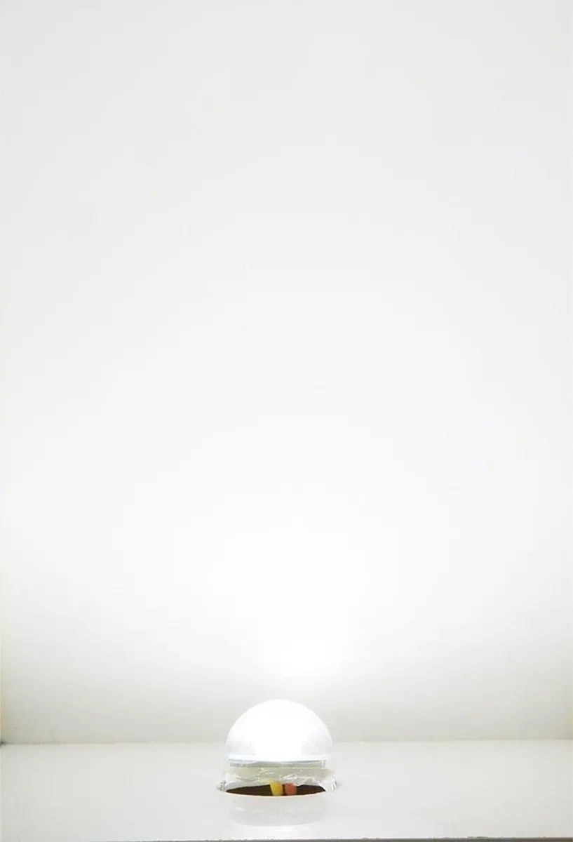 Faller LED Verlichtingsarmatuur Koud Wit H0