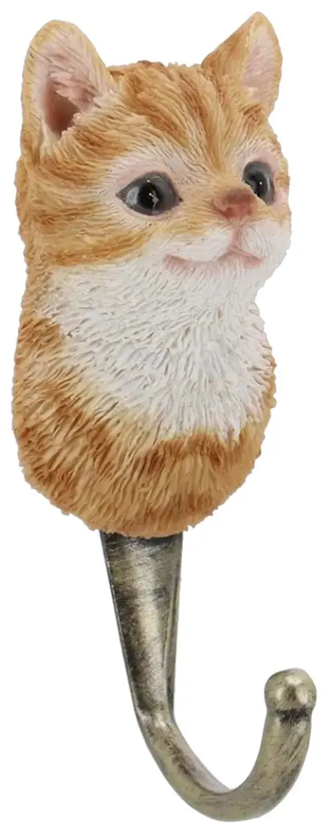 Wandhaak poes