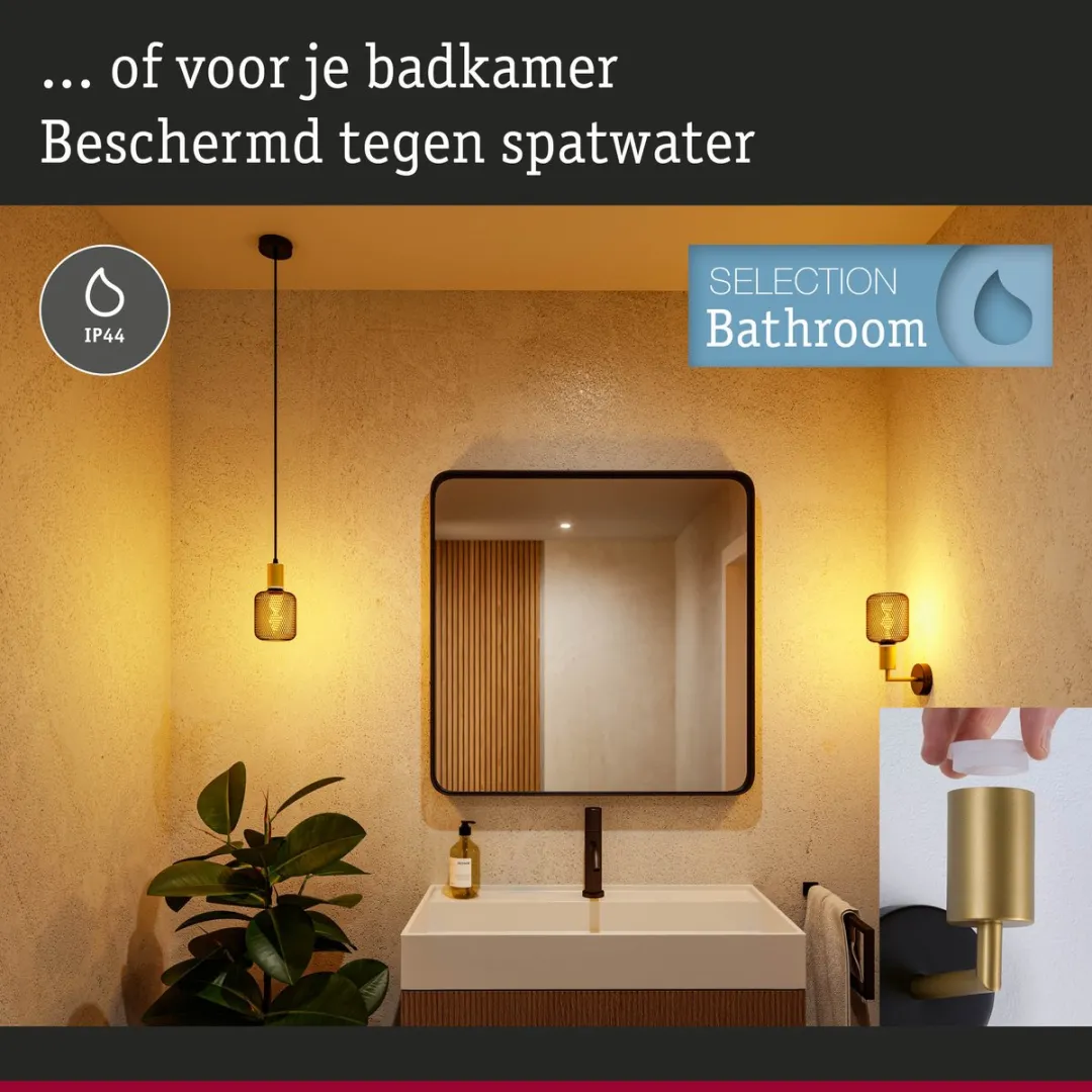 Paulmann Wandlamp Ravi IP44 E27 60W - Zwart mat, Goud