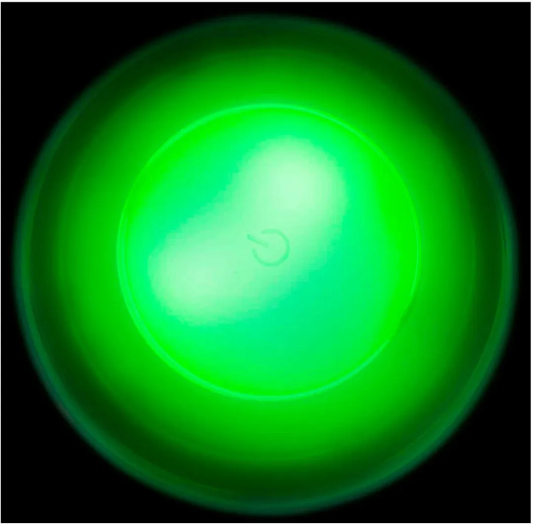 Grundig Draadloze LEDlamp RGB - 1 W - afbeelding 6 van 6