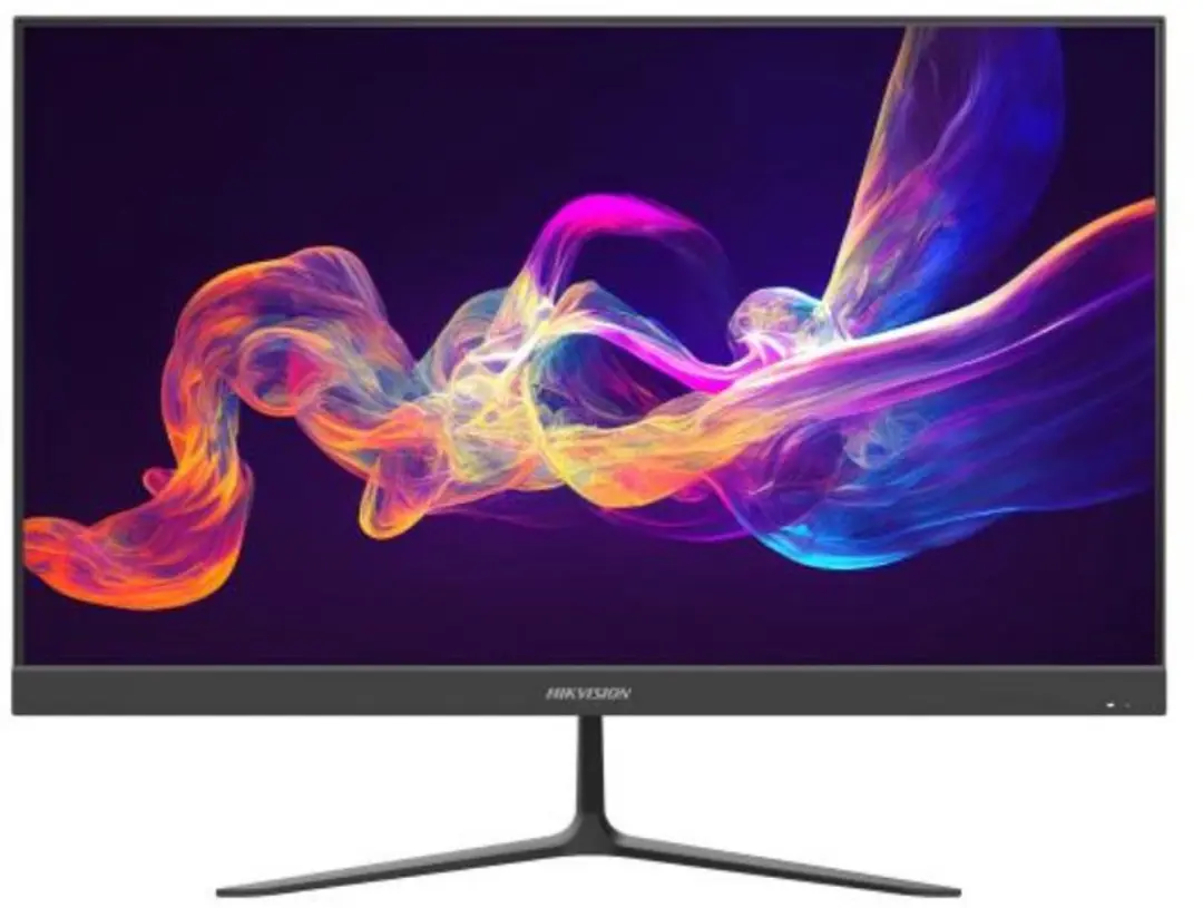 Hikvision DS-D5024F2-BV2S Monitor