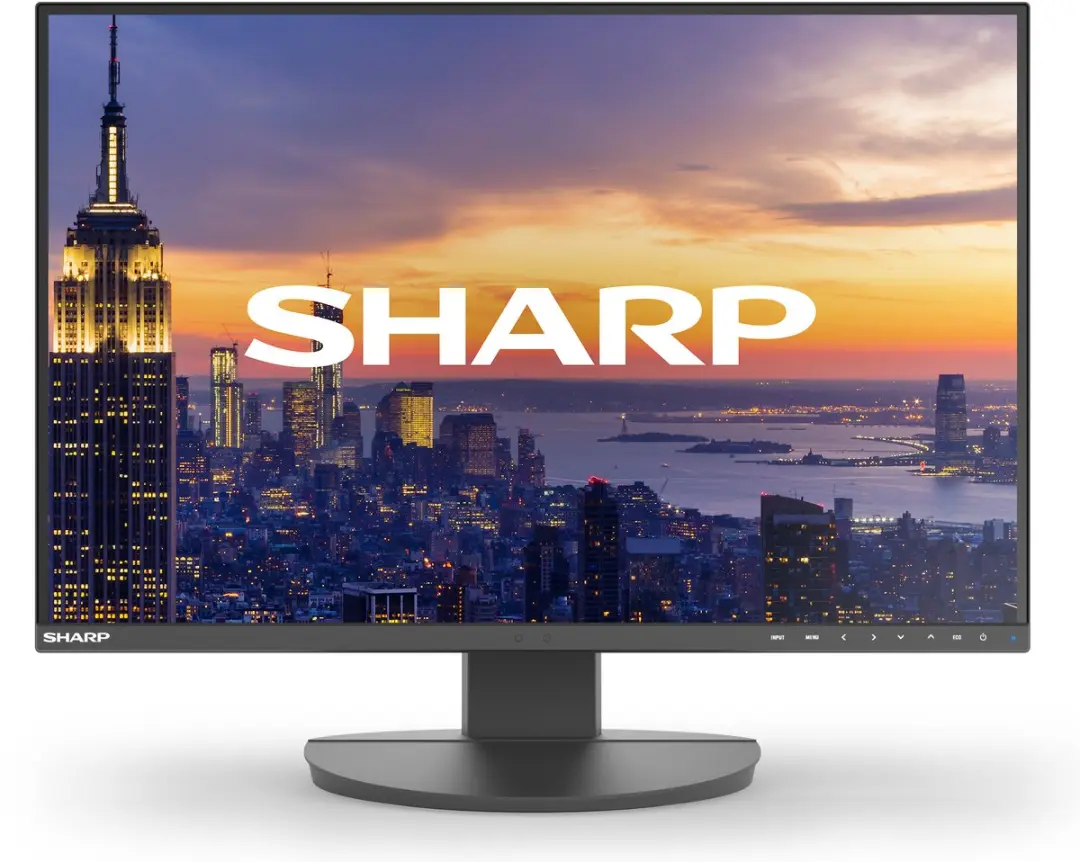 Sharp MultiSync EA242W Monitor