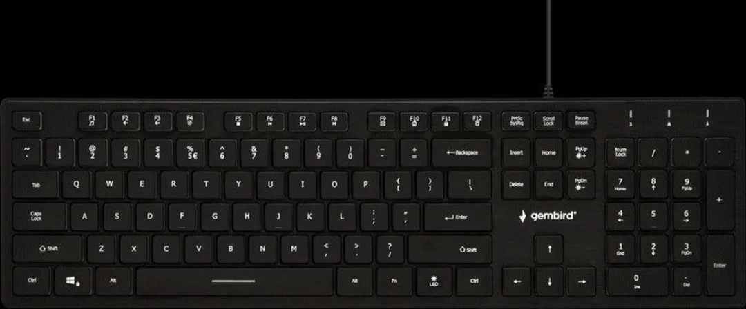 Gembird Rainbow Keyboard KB-UML-01 - RGB - Zwart