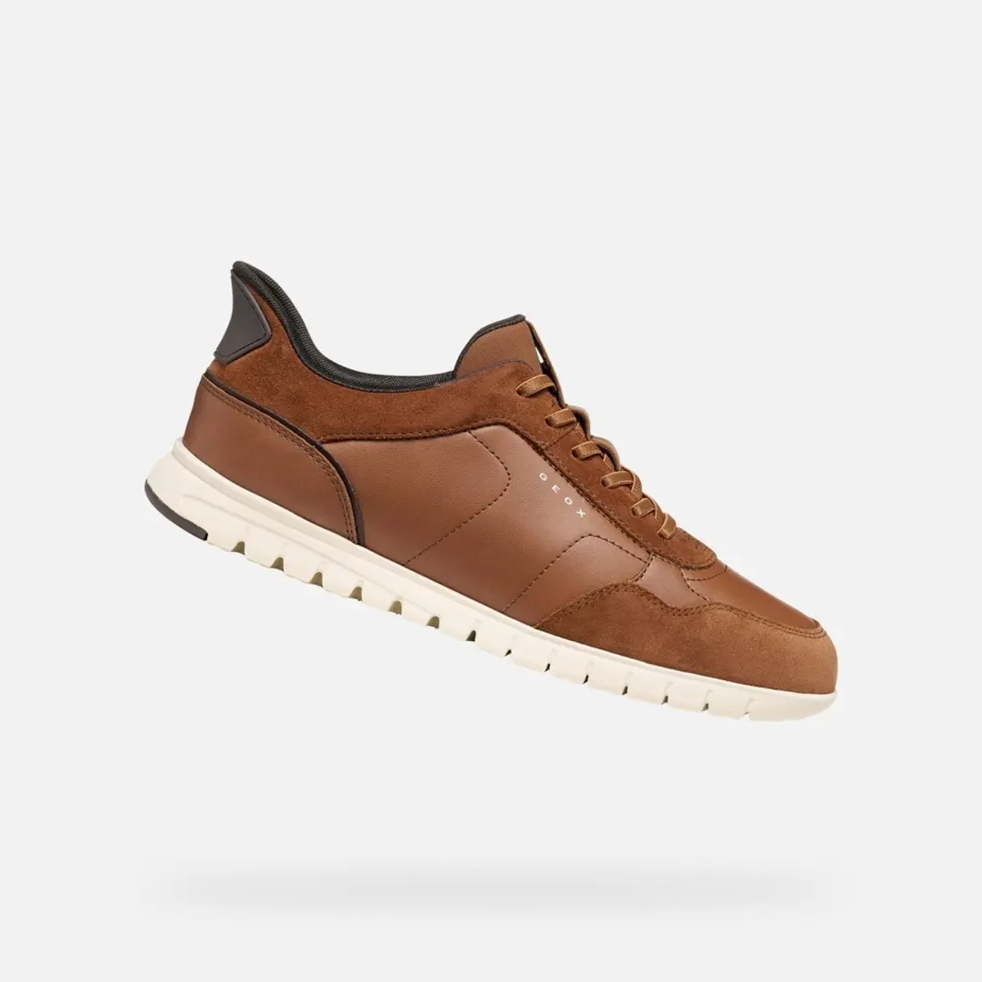 GEOX Sneakers -