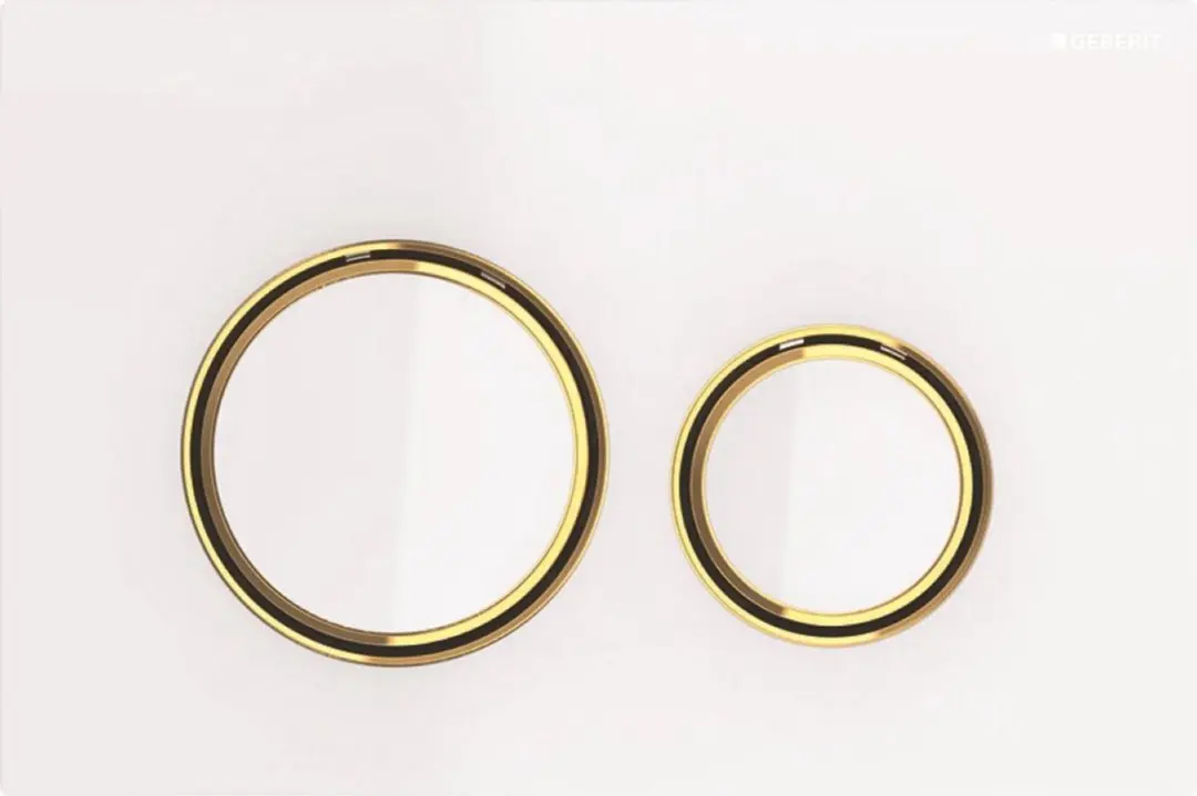 Geberit Sigma21 115.652.SI.1 Bedieningsplaat