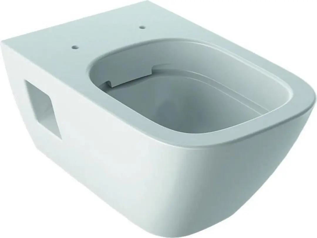 Geberit Renova Plan Wandcloset Diepspoel Ged. Verd. Rf 54Cm Tect/Wit