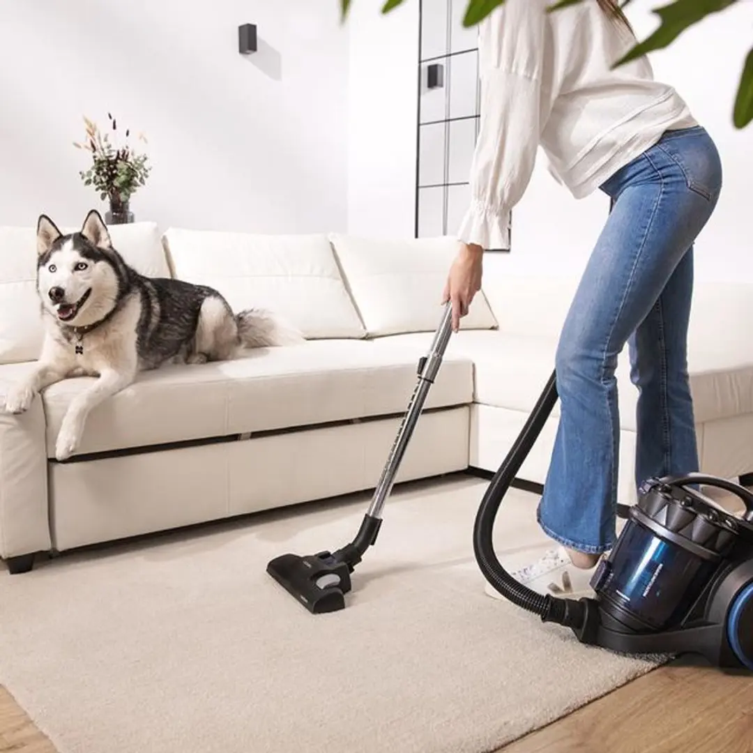 Cecotec Conga Rockstar 08586 Stofzuiger - 800W - 4L - afbeelding 5 van 6