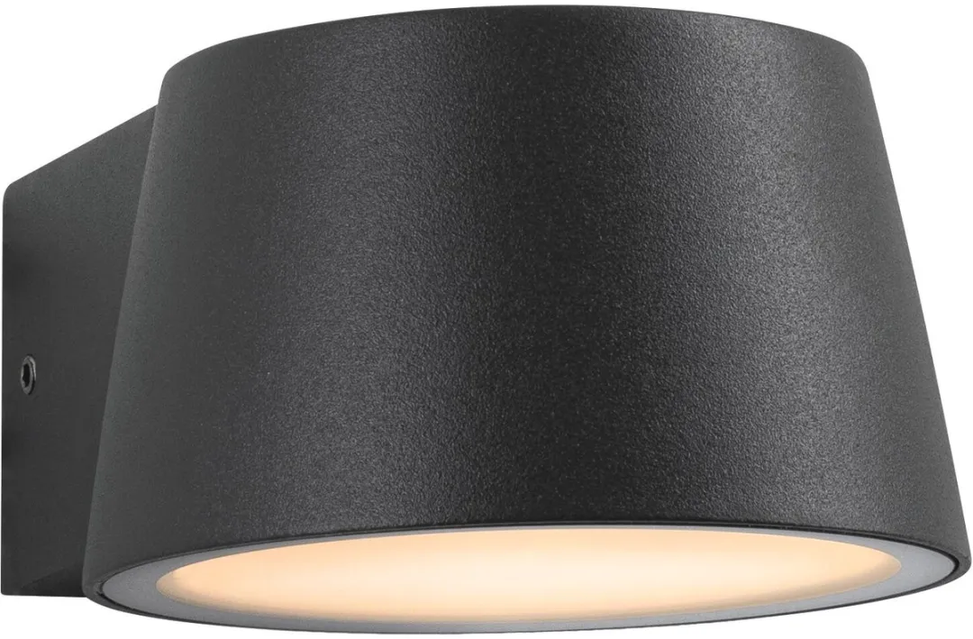 Paulmann Capea LED Wandarmatuur Buiten 6W 550lm 2200K - Antraciet