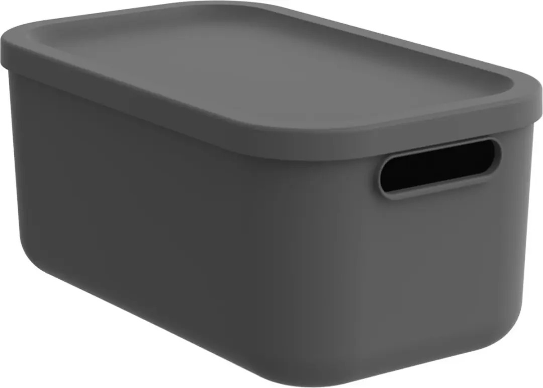 Rotho Albula Light Opbergbox 12L