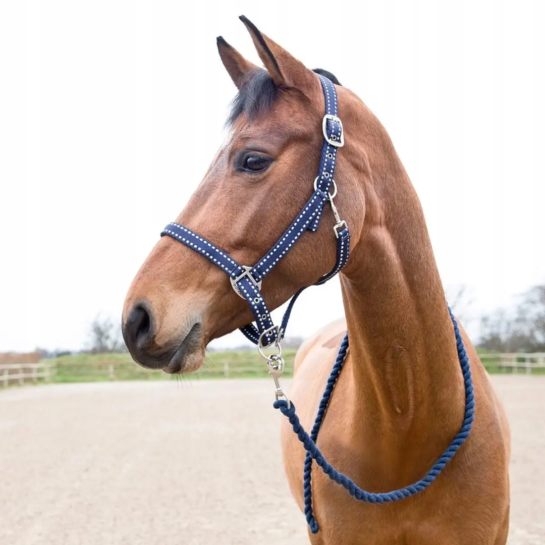 Horze Cooper Halster Volledig Navy Blauw met Lijn
