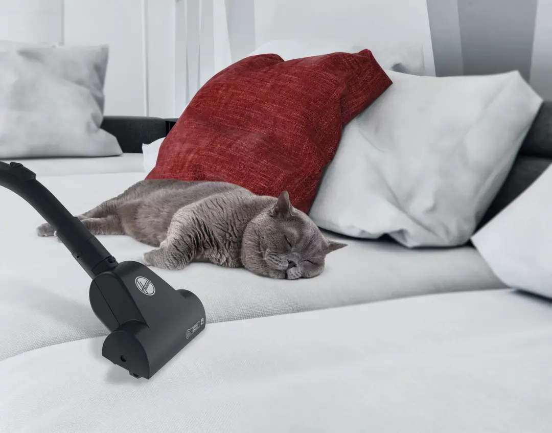 Hoover Brave BV60PET 011 Cilinderstofzuiger - Blauw - afbeelding 3 van 6