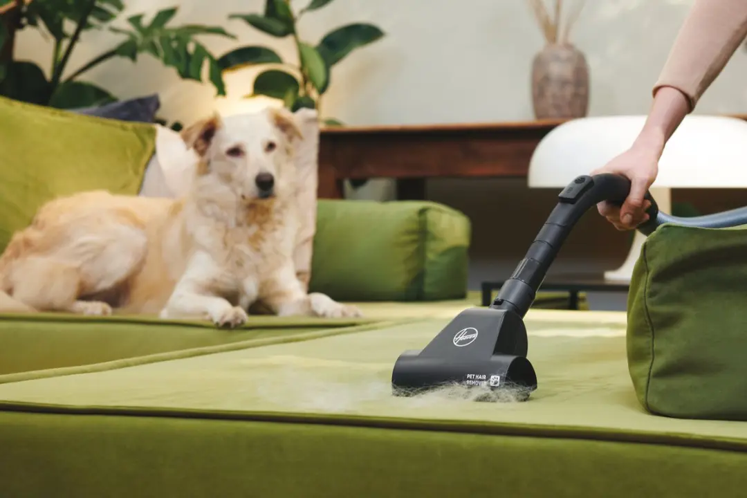Hoover HP120PET 011 Cilinderstofzuiger - 700W - afbeelding 5 van 6