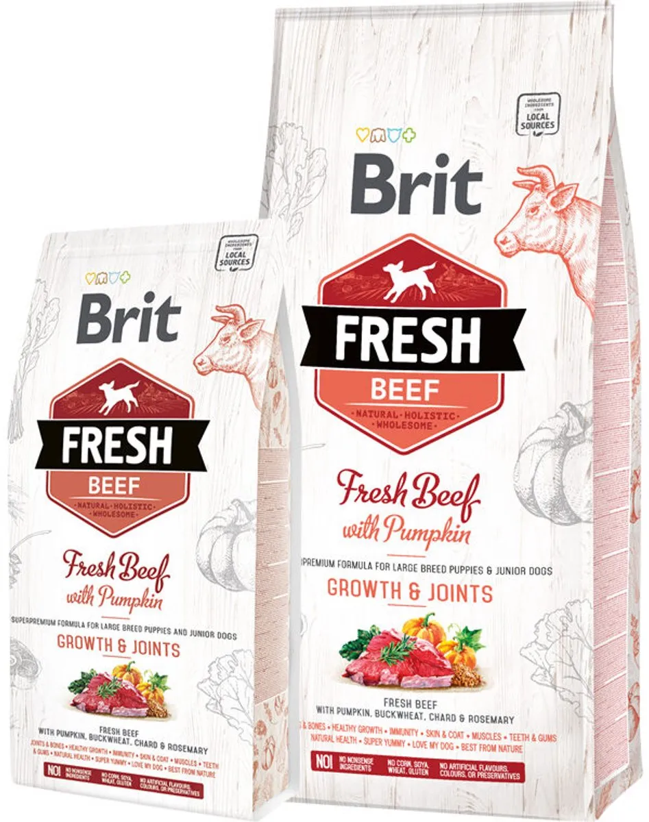 Brit Fresh Beef with Pumpkin Puppy Large 2,5kg