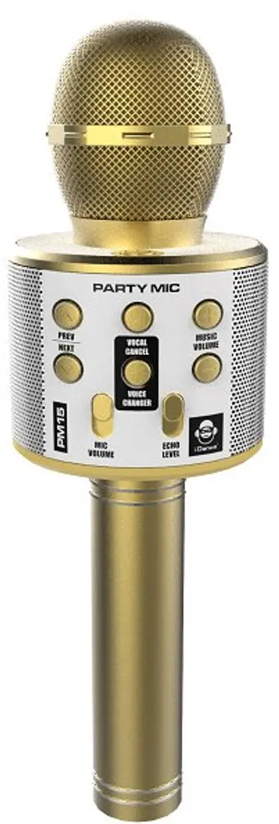 iDance PM15
