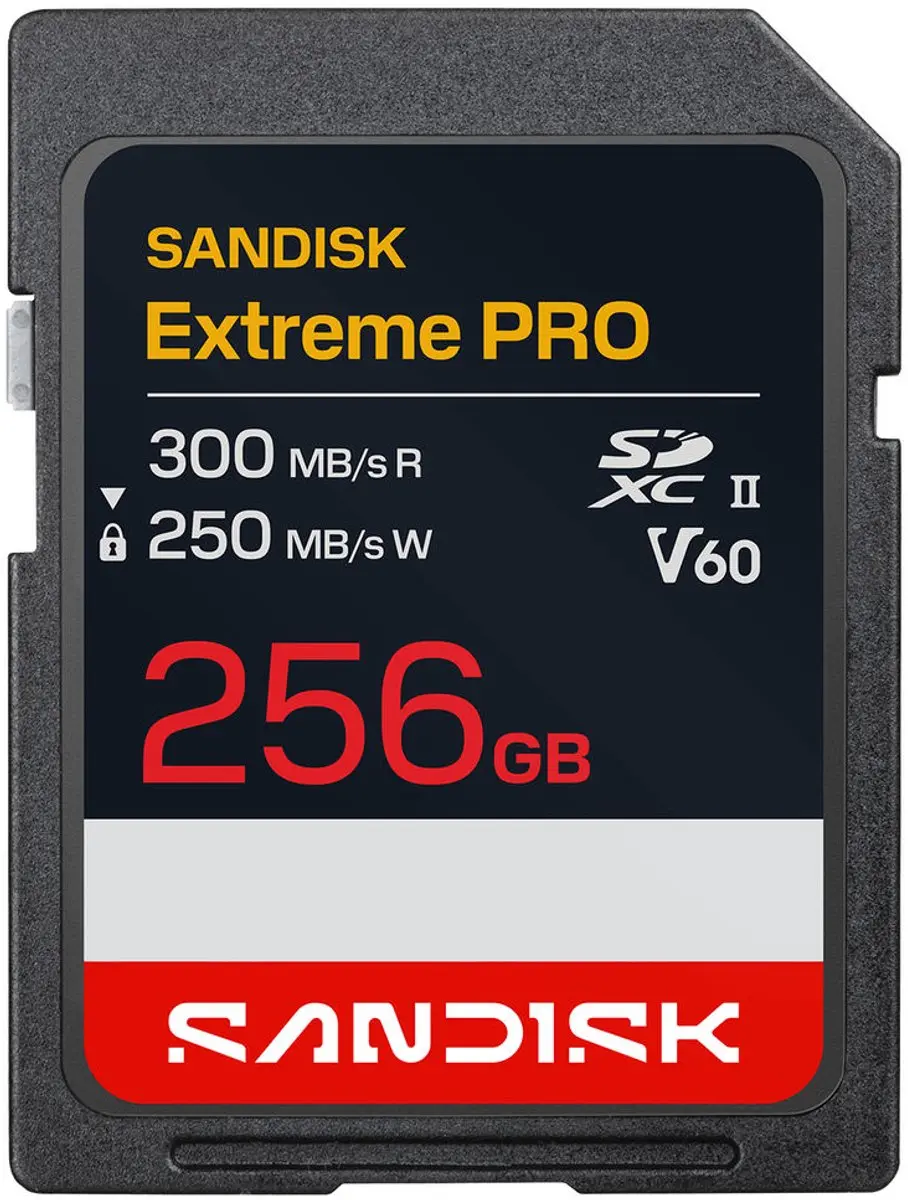 SanDisk Extreme PRO SDSDXEM-256G-GN4IN SDXC Geheugenkaart