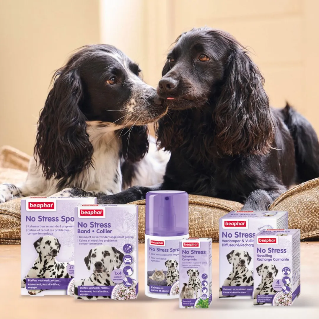 Beaphar No Stress Band Hond
