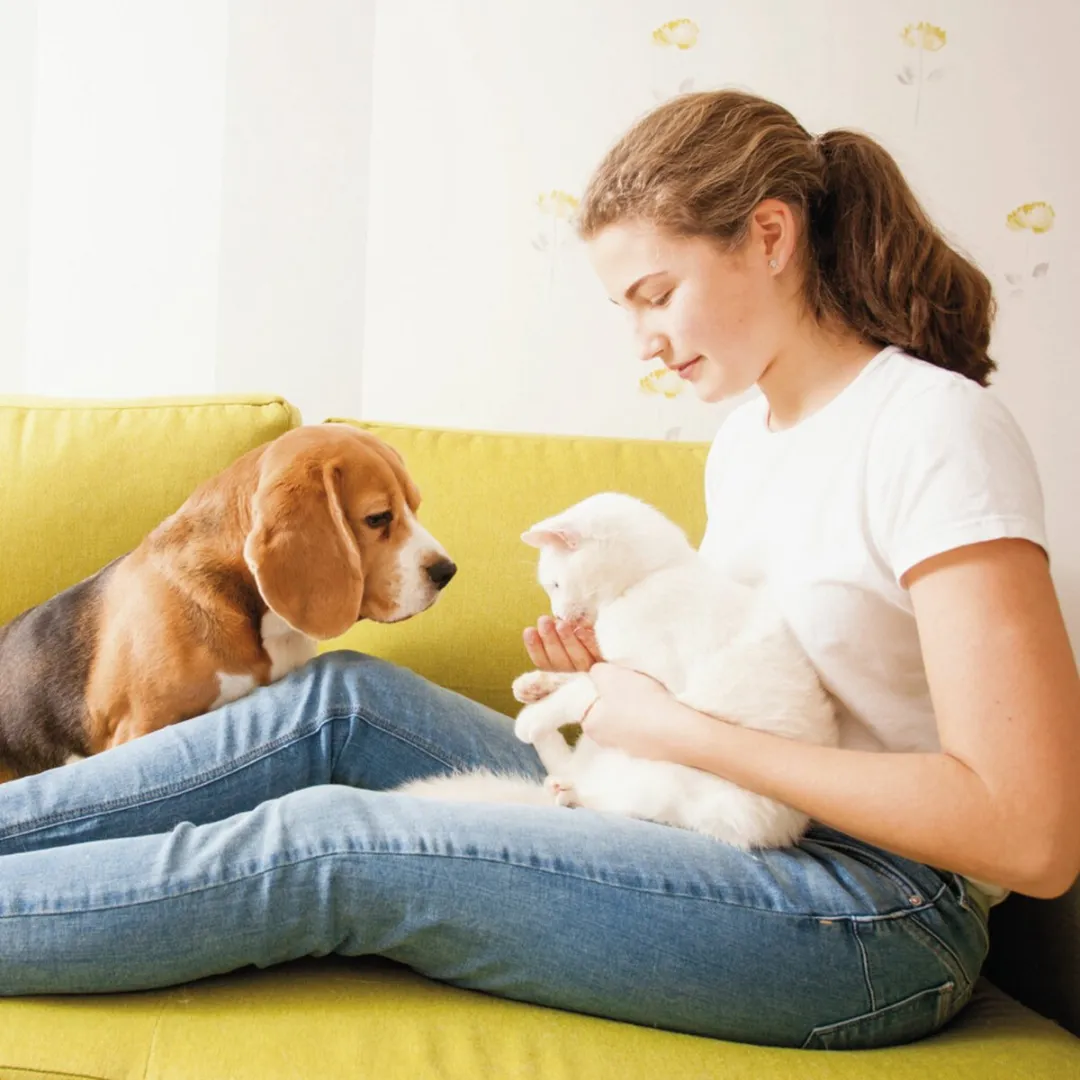 Beaphar No Stress Tabletten voor hond/kat - 20 Stuks