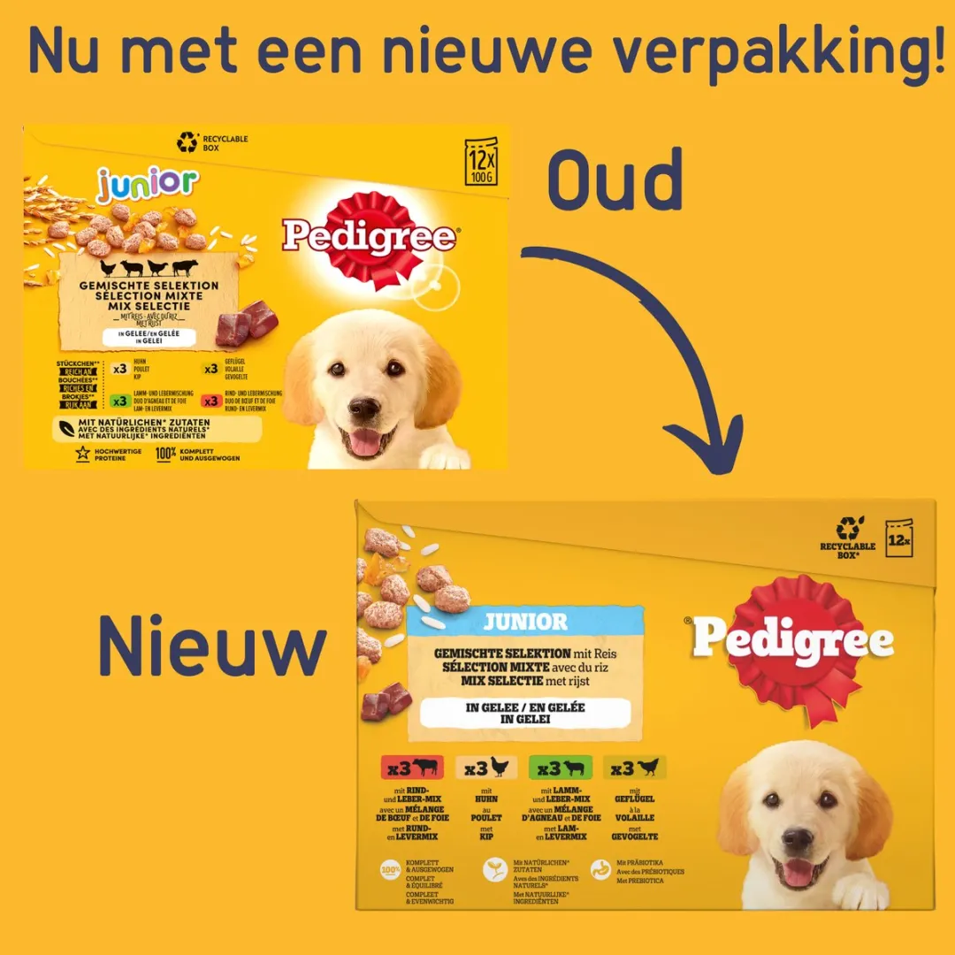 Pedigree Junior Hondenvoer - Mix Selectie in gelei - Maaltijdzakjes - 48 x 100 g