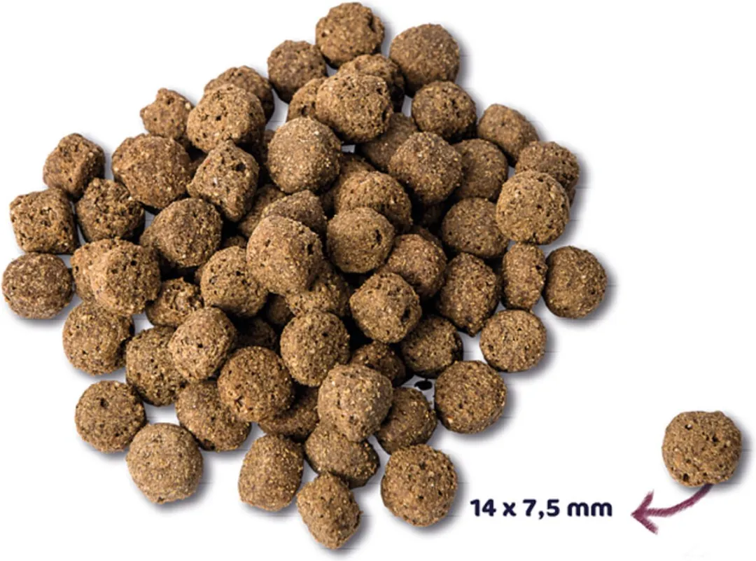 Renske Super Premium Adult Oceaanvis 12kg - 2 Stuks