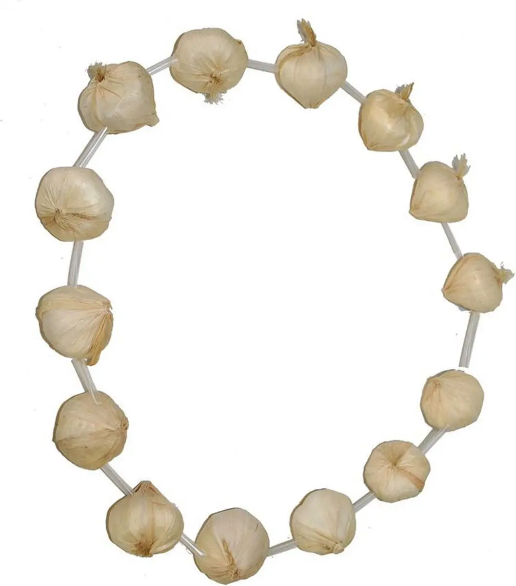 Knoflook ketting