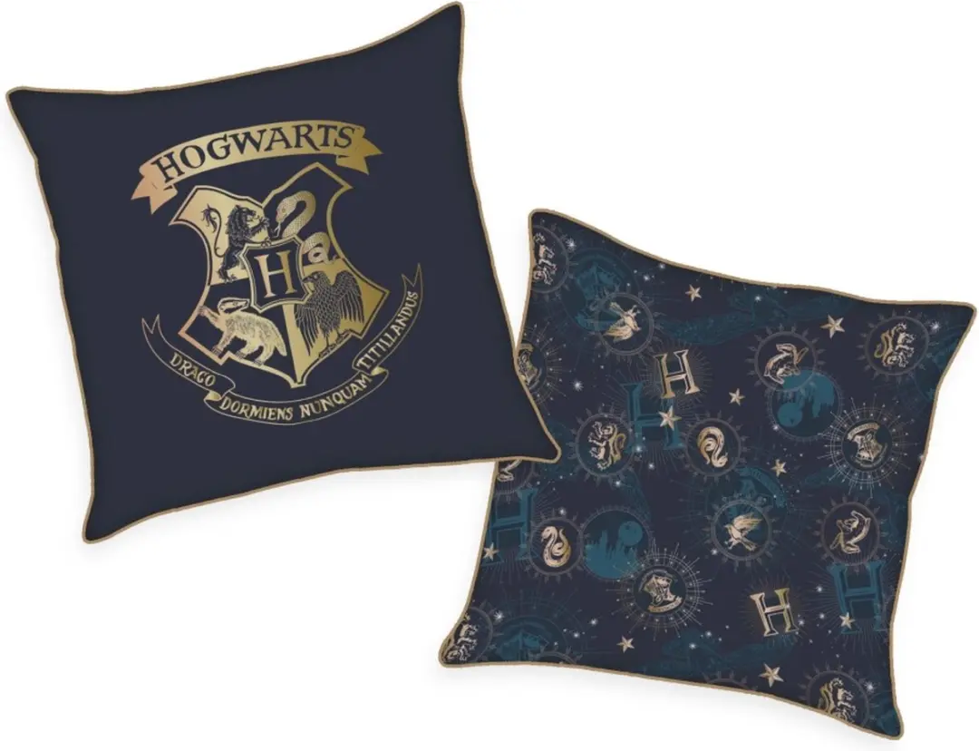 Harry Potter Hogwarts Kussen 40x40cm
