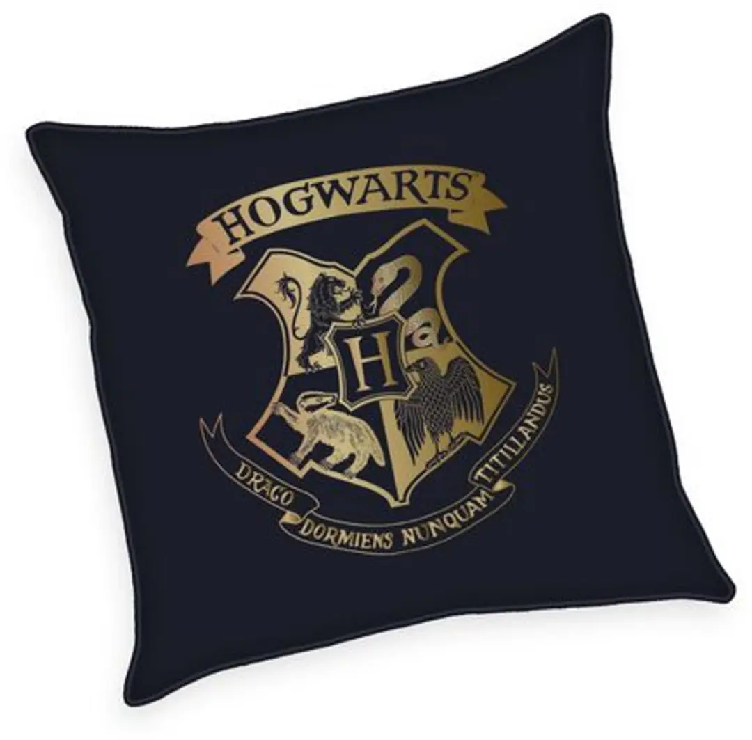 Harry Potter Hogwarts Kussen 40x40cm - Zwart - afbeelding 2 van 3
