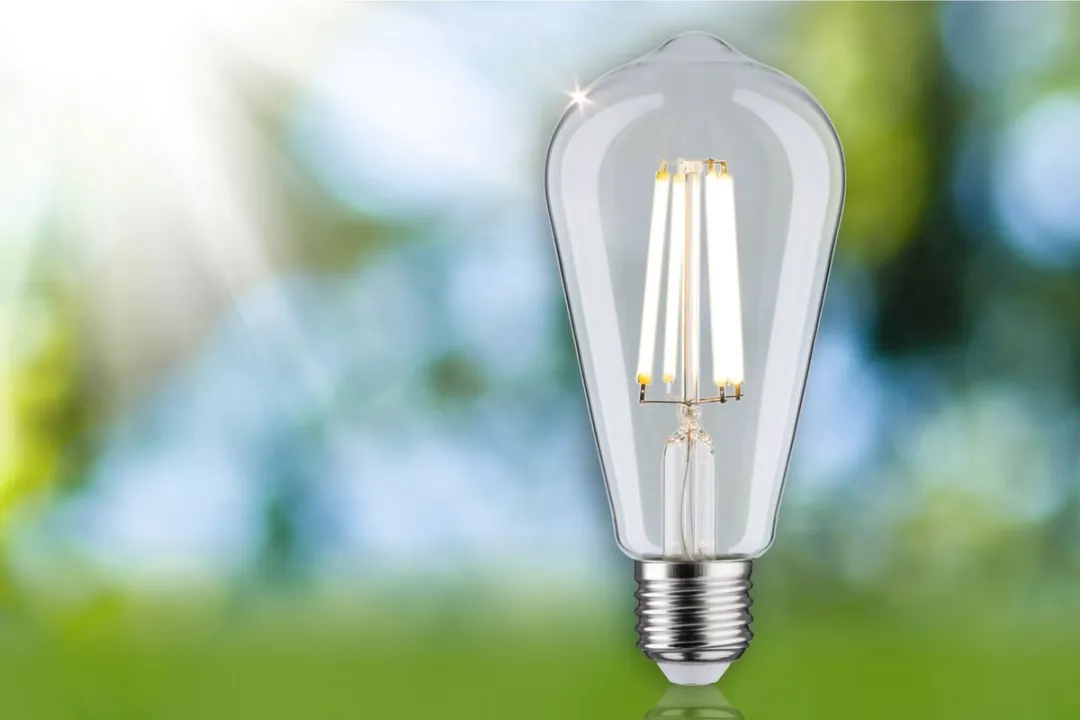 Paulmann Eco-Line LED-kolf ST64 E27 4W 840lm - Helder