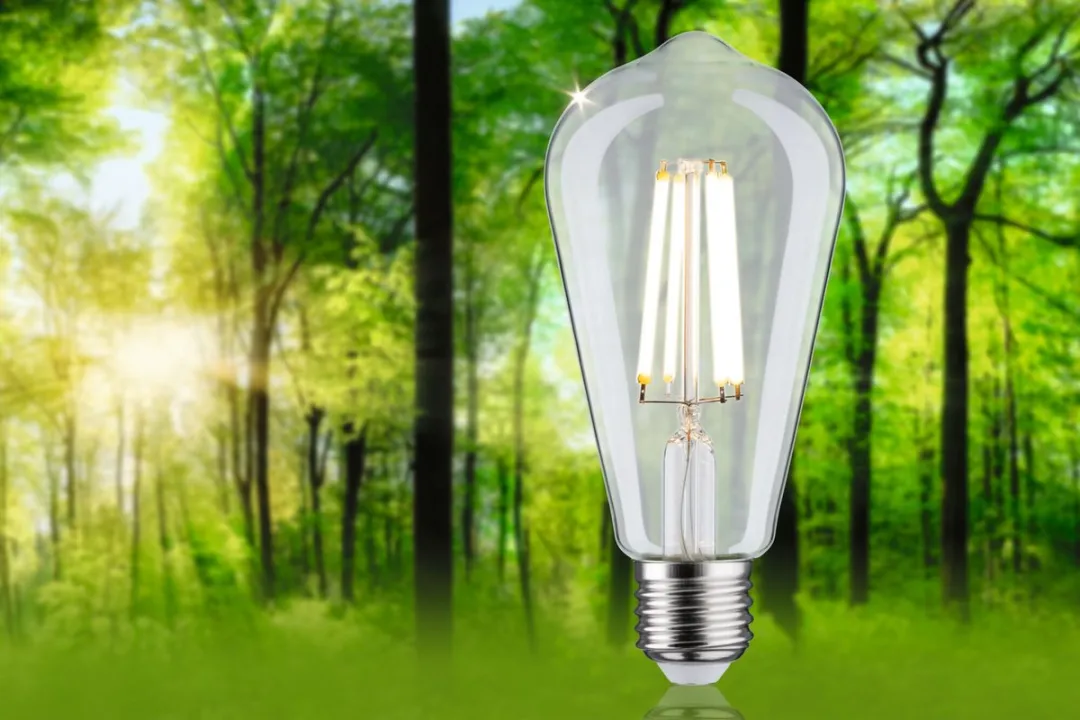 Paulmann Eco-Line LED-kolf ST64 E27 4W 840lm - Helder
