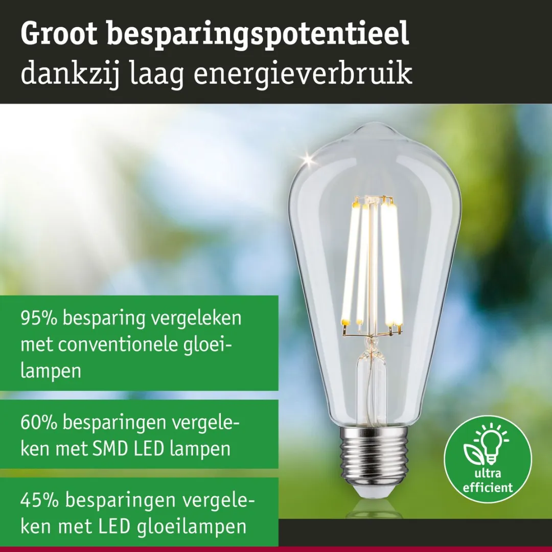 Paulmann Eco-Line LED-kolf ST64 E27 4W 840lm - Helder - afbeelding 6 van 6