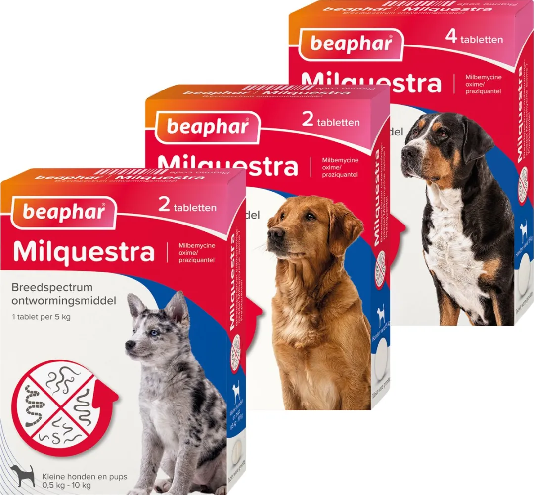 Beaphar Milquestra Hond Tabletten - 4 Stuks - afbeelding 6 van 6