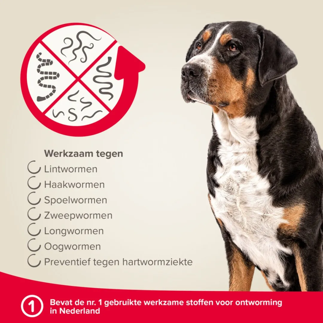 Beaphar Milquestra Hond Tabletten - 4 Stuks