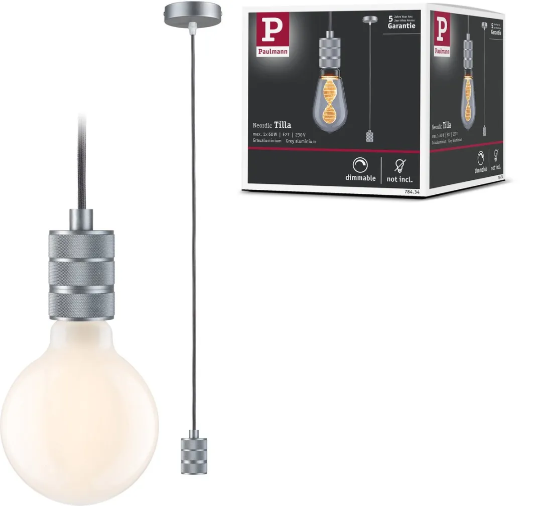 Paulmann Neordic Tilla Hanglamp E27 60W